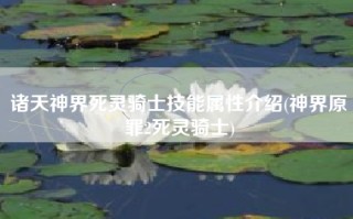诸天神界死灵骑士技能属性介绍(神界原罪2死灵骑士)