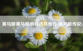 赛马娘赛马娘闸马选马推荐(赛马娘传说)