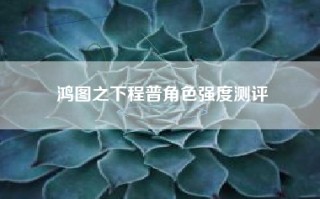 鸿图之下程普角色强度测评