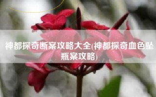 神都探奇断案攻略大全(神都探奇血色坠瓶案攻略)