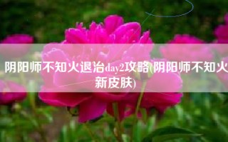 阴阳师不知火退治day2攻略(阴阳师不知火新皮肤)