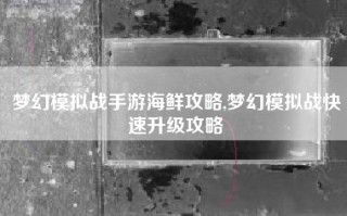 梦幻模拟战手游海鲜攻略,梦幻模拟战快速升级攻略