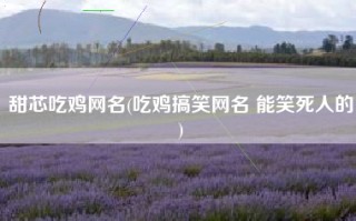 甜芯吃鸡网名(吃鸡搞笑网名 能笑死人的)