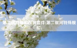 第二银河舰船改装套件(第二银河特殊舰船)