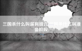 三国杀什么叫遛狗组合(三国杀什么叫准备阶段)
