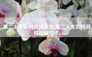第二人生如何获得宠物(第二人生如何获得初级马术)