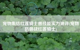 宠物集结红莲骑士兽技能实力测评(宠物防御战红莲骑士)