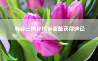 醉弈三国孙权有哪些获得途径
