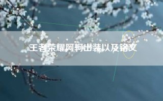 王者荣耀阿轲出装以及铭文
