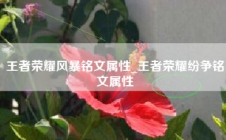 王者荣耀风暴铭文属性_王者荣耀纷争铭文属性