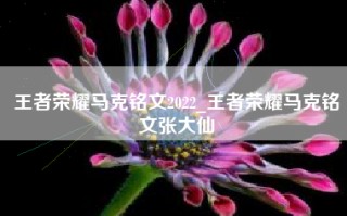 王者荣耀马克铭文2022_王者荣耀马克铭文张大仙