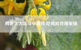 鸡老大大乱斗小游戏,吃鸡游戏哪家强