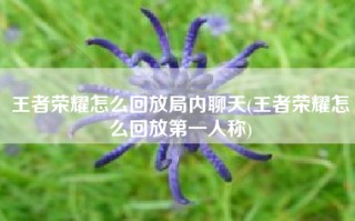 王者荣耀怎么回放局内聊天(王者荣耀怎么回放第一人称)