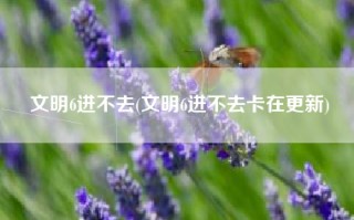 文明6进不去(文明6进不去卡在更新)