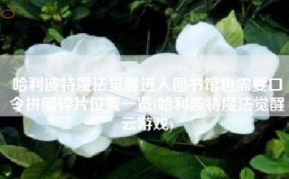 哈利波特魔法觉醒进入图书馆也需要口令拼图碎片位置一览(哈利波特魔法觉醒云游戏)