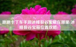 跑跑卡丁车手游冰峰裂谷宝藏在哪里(冰峰裂谷宝箱位置攻略)