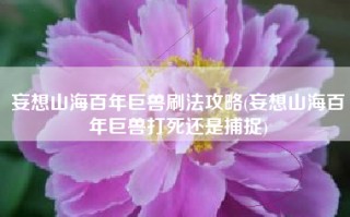 妄想山海百年巨兽刷法攻略(妄想山海百年巨兽打死还是捕捉)