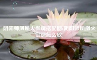 阴阳师凤凰火御魂搭配图(阴阳师凤凰火御魂怎么放)