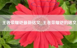 王者荣耀铠最新铭文_王者荣耀铠的铭文