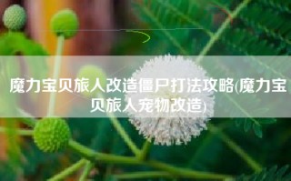 魔力宝贝旅人改造僵尸打法攻略(魔力宝贝旅人宠物改造)