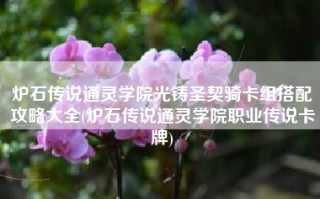 炉石传说通灵学院光铸圣契骑卡组搭配攻略大全(炉石传说通灵学院职业传说卡牌)