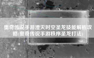 奥奇传说手游湮灭时空圣龙技能解析攻略(奥奇传说手游秩序圣龙打法)