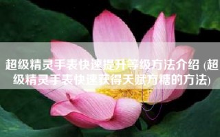 超级精灵手表快速提升等级方法介绍 (超级精灵手表快速获得天赋方糖的方法)