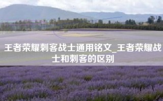 王者荣耀刺客战士通用铭文_王者荣耀战士和刺客的区别