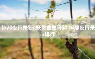 神都夜行录新R妖灵星星详解(神都夜行录ssr排行)