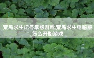 荒岛求生记冬季版游戏,荒岛求生电脑版怎么开始游戏