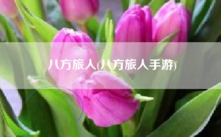 八方旅人(八方旅人手游)