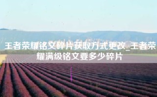 王者荣耀铭文碎片获取方式更改_王者荣耀满级铭文要多少碎片