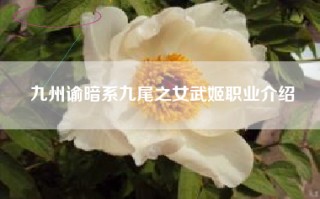 九州谕暗系九尾之女武姬职业介绍