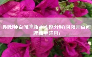 阴阳师百闻牌新手不能分解(阴阳师百闻牌新手阵容)
