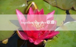 together(together歌曲)