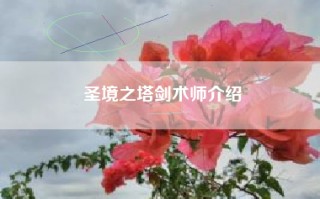 圣境之塔剑术师介绍