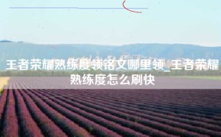 王者荣耀熟练度领铭文哪里领_王者荣耀熟练度怎么刷快