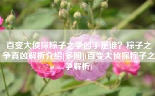 百变大侦探粽子之争凶手是谁？粽子之争真凶解析介绍[多图](百变大侦探粽子之争解析)