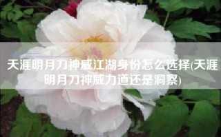 天涯明月刀神威江湖身份怎么选择(天涯明月刀神威力道还是洞察)