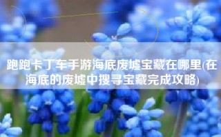 跑跑卡丁车手游海底废墟宝藏在哪里(在海底的废墟中搜寻宝藏完成攻略)