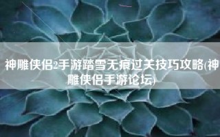 神雕侠侣2手游踏雪无痕过关技巧攻略(神雕侠侣手游论坛)
