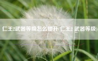仁王2武器等级怎么提升(仁王2 武器等级)
