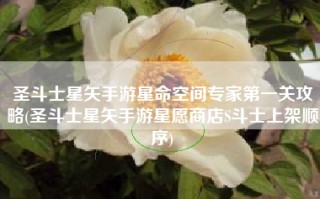 圣斗士星矢手游星命空间专家第一关攻略(圣斗士星矢手游星愿商店S斗士上架顺序)