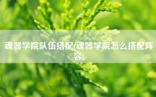 魂器学院队伍搭配(魂器学院怎么搭配阵容)