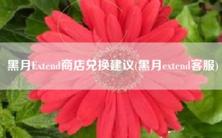 黑月Extend商店兑换建议(黑月extend客服)