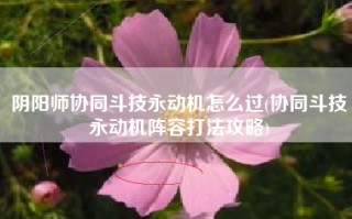 阴阳师协同斗技永动机怎么过(协同斗技永动机阵容打法攻略)