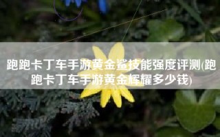 跑跑卡丁车手游黄金鲨技能强度评测(跑跑卡丁车手游黄金辉耀多少钱)
