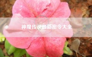 神魔传说最新密令大全