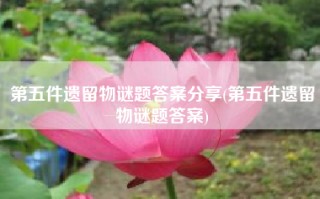 第五件遗留物谜题答案分享(第五件遗留物谜题答案)