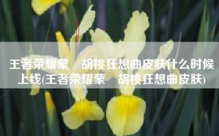 王者荣耀蒙犽胡桃狂想曲皮肤什么时候上线(王者荣耀蒙犽胡桃狂想曲皮肤)